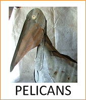 Pelicans